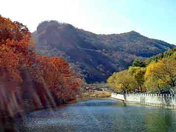 新澳天天彩免费资料大全查询，扇形屋面板